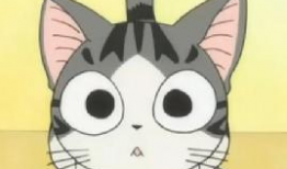 动漫的猫,动漫猫的奇幻冒险之旅